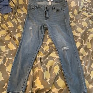 Lane Bryant sequin, distressed jean